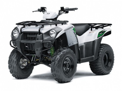 Kawasaki Brute Force 300 - 2022