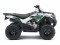 Kawasaki Brute Force 300 - 2022