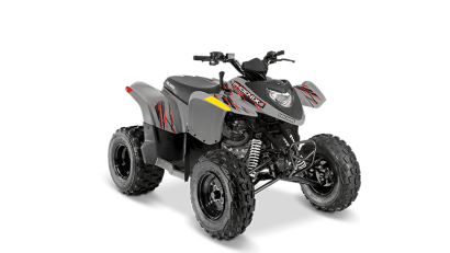 Polaris Phoenix 200 - 2023