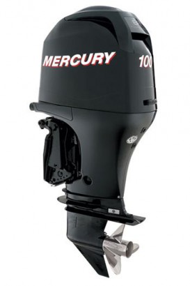 MERCURY ME F 100 ELPT EFI